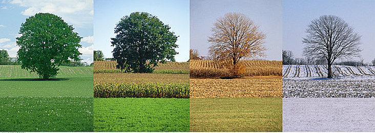 国产虚幻5单机《下一站青城》新视频 类老滚5游戏